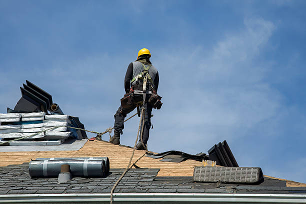 Professional Roof Replacement technician working in Douglas, MI